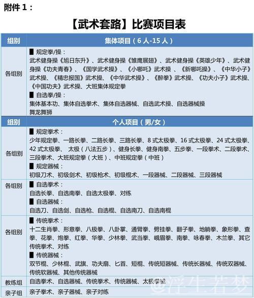 2025年北京武搏赛“阳光下一代”精彩收官 2025年北京武搏赛“阳光下一代”精彩收官