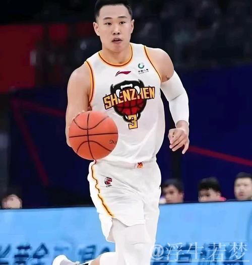 约翰逊24+6+13领衔,深圳客场大胜江苏,贺希宁砍下19分 约翰逊24+6+13领衔,深圳客场大胜江苏,贺希宁砍下19分